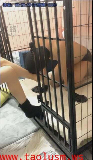 【希希_bb】圈养：怎么养狗怎么养你