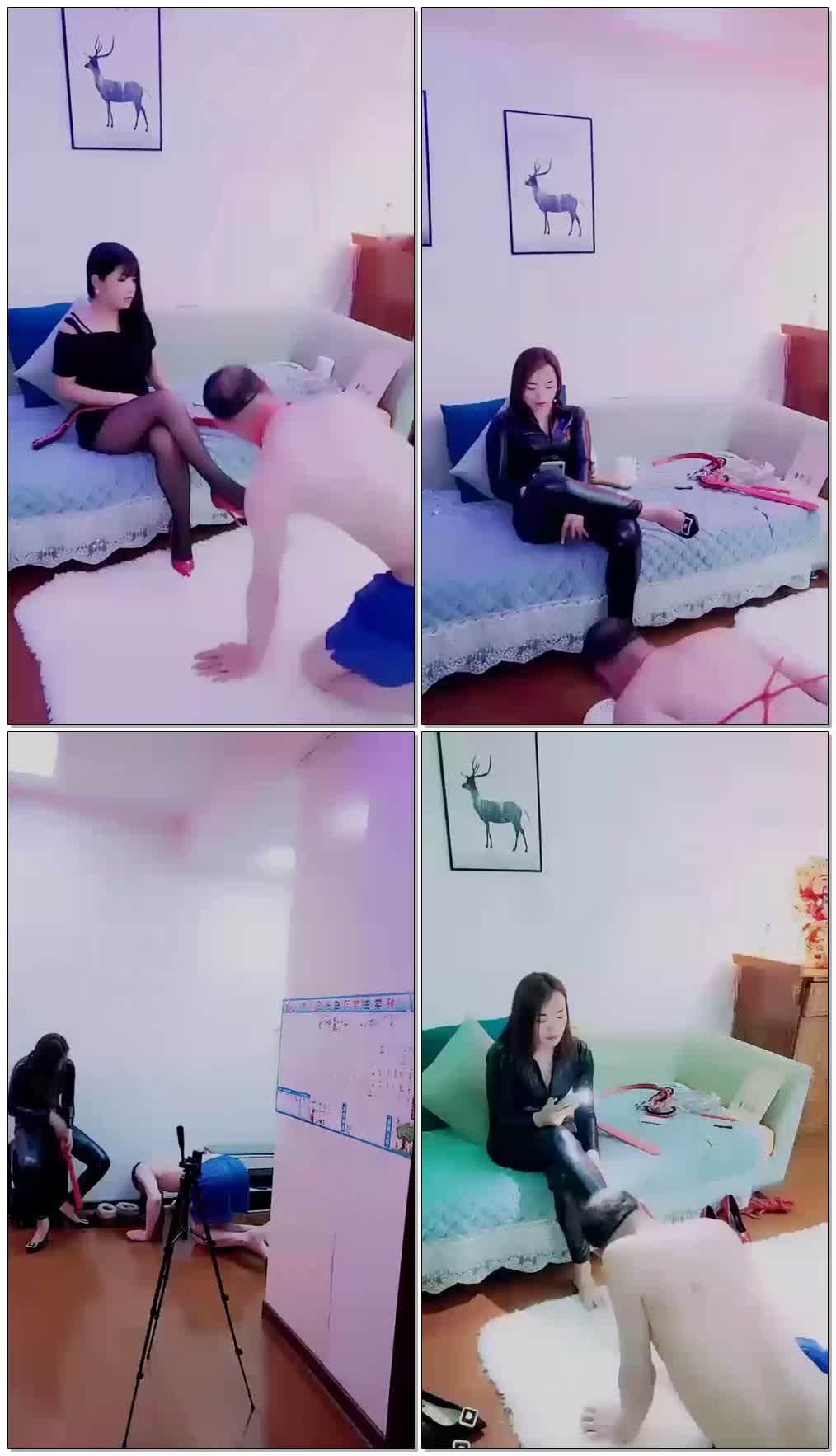 【闹闹】双S调教老狗
