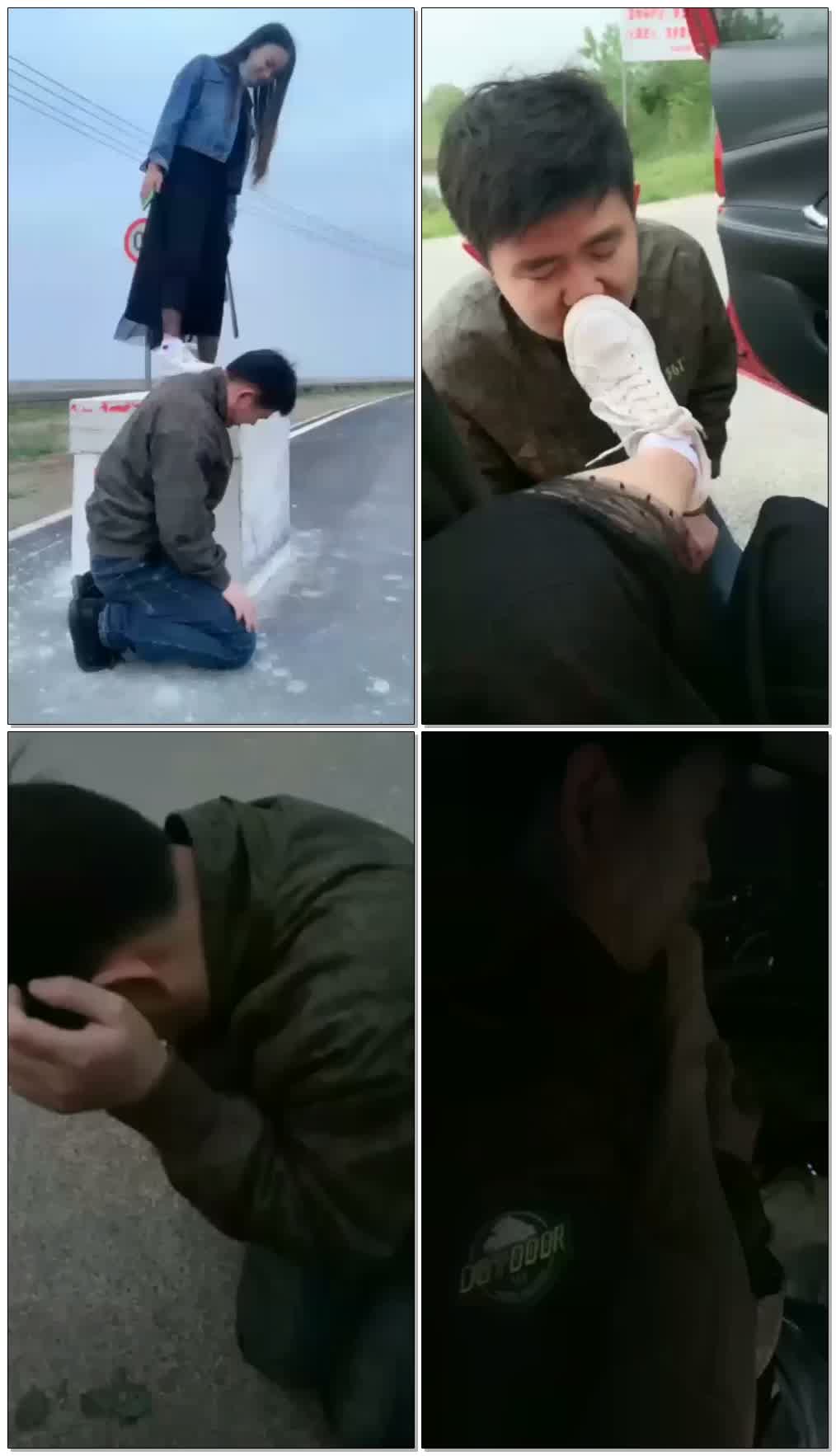 【灵灵】下班户外遛狗