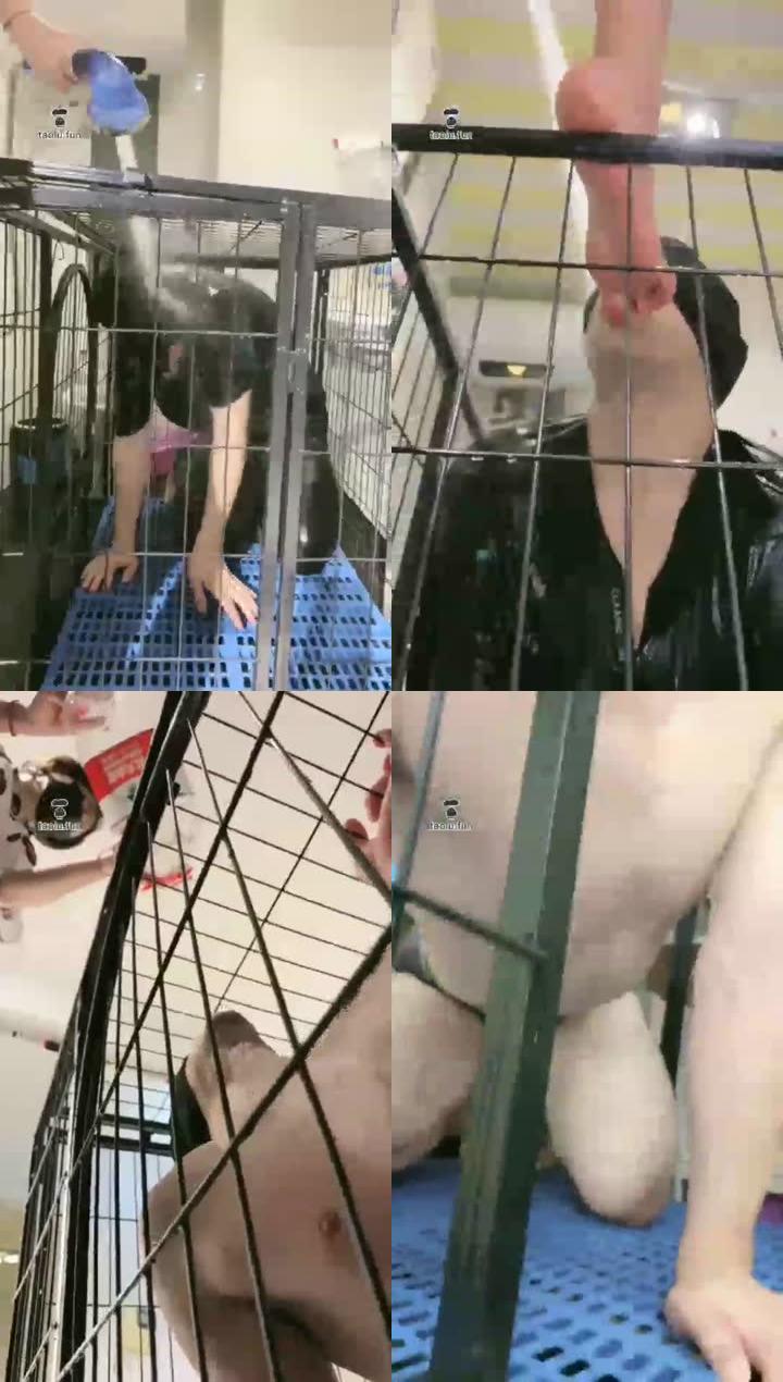 【美离子】TJ：关狗笼 水柱冲废狗 微距特写