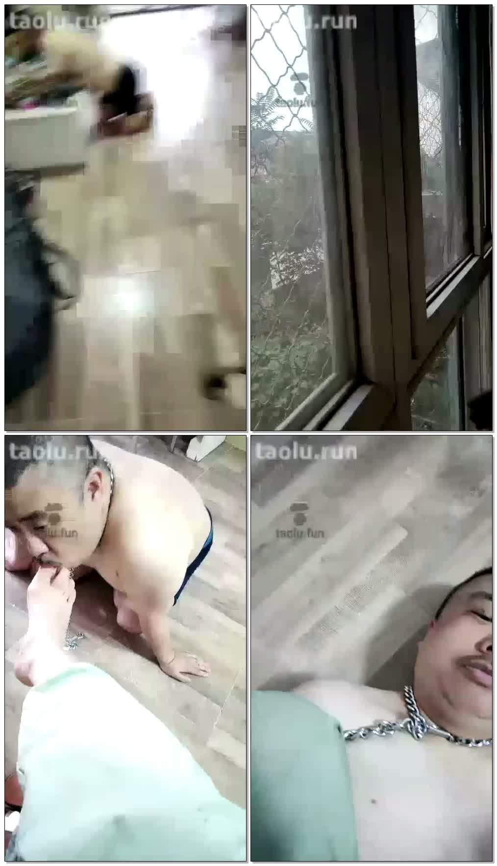 【罂粟花Y】调教可爱狗狗，舔鞋，舔脚，舔马桶（官方已删）