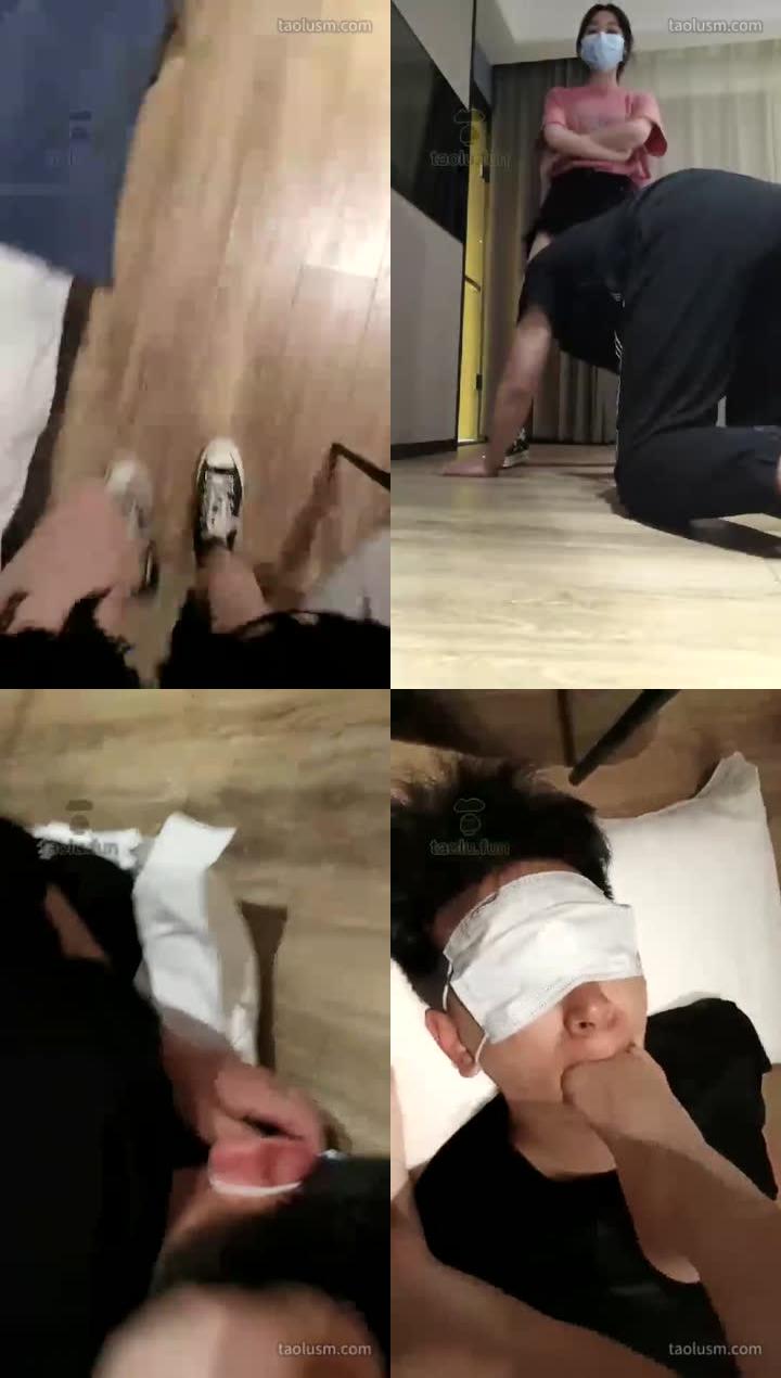 【哈宝s】轻度调狗狗