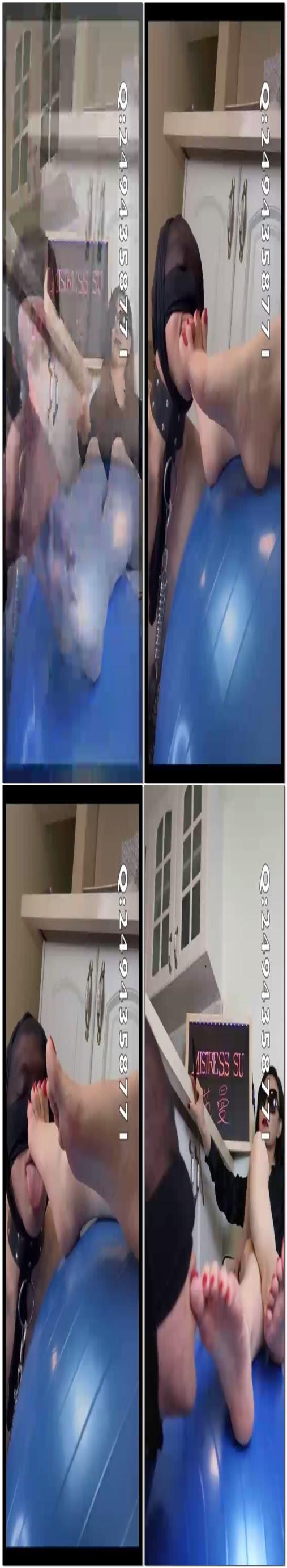 【苏曼】给女神舔脚