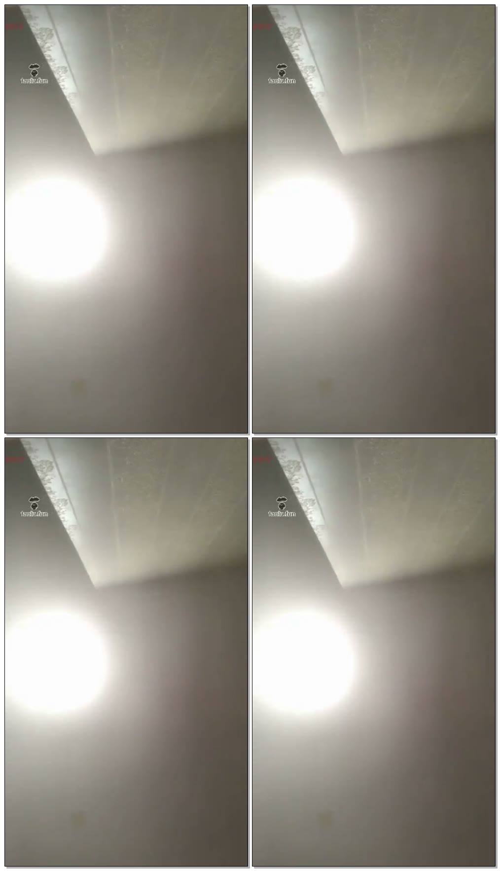 【聊城魅影S】最贱的狗又憋坏了收拾他
