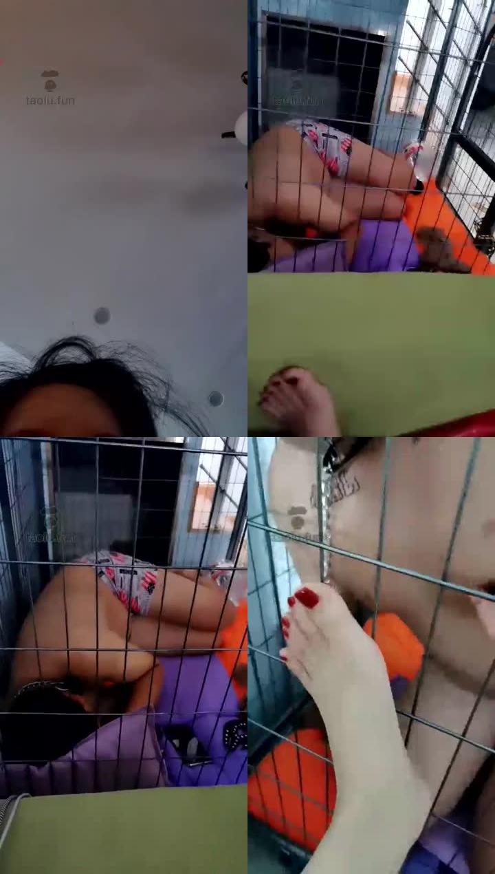【羽殿下】被死胖子吵醒后殿下生气了开始虐狗