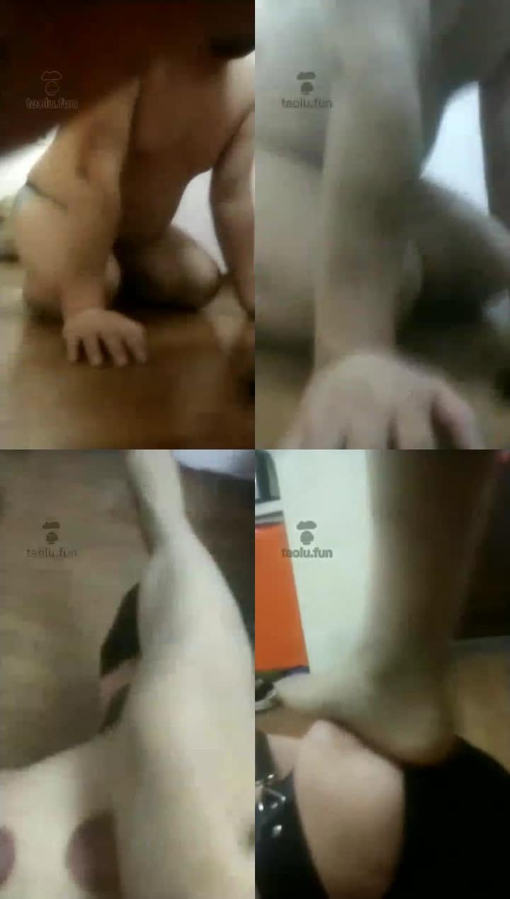 【茉涵S】肉丝红高玩贱狗