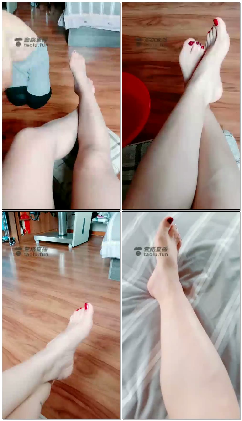 【灵犀女ss】日常赏赐脚奴伺候我的脚，这次是丝袜