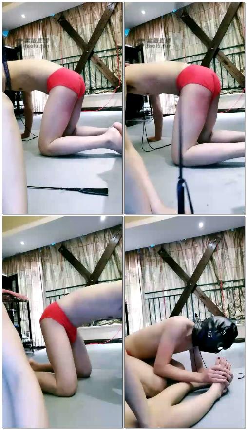 【银河S】晨起辱骂撩狗打屁股