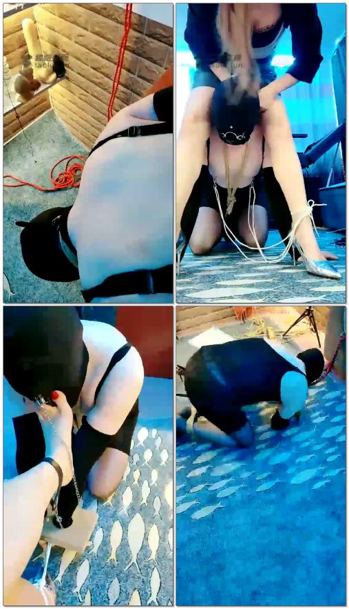 【天香百合】折磨控制，乳夹鼻环绳子控制，生不如死