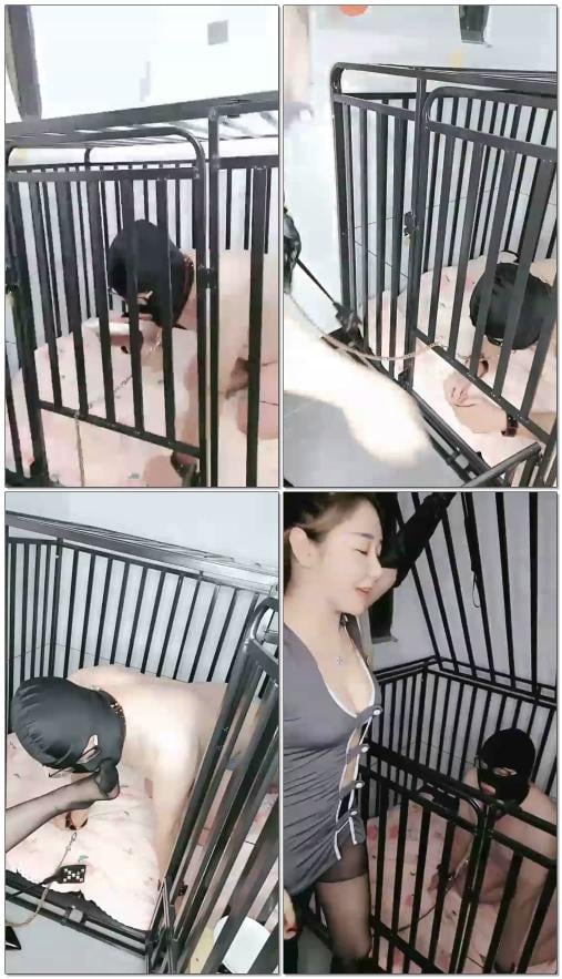 【上官婉儿s】畜牲吃祖宗嚼的咀嚼物维持生命
