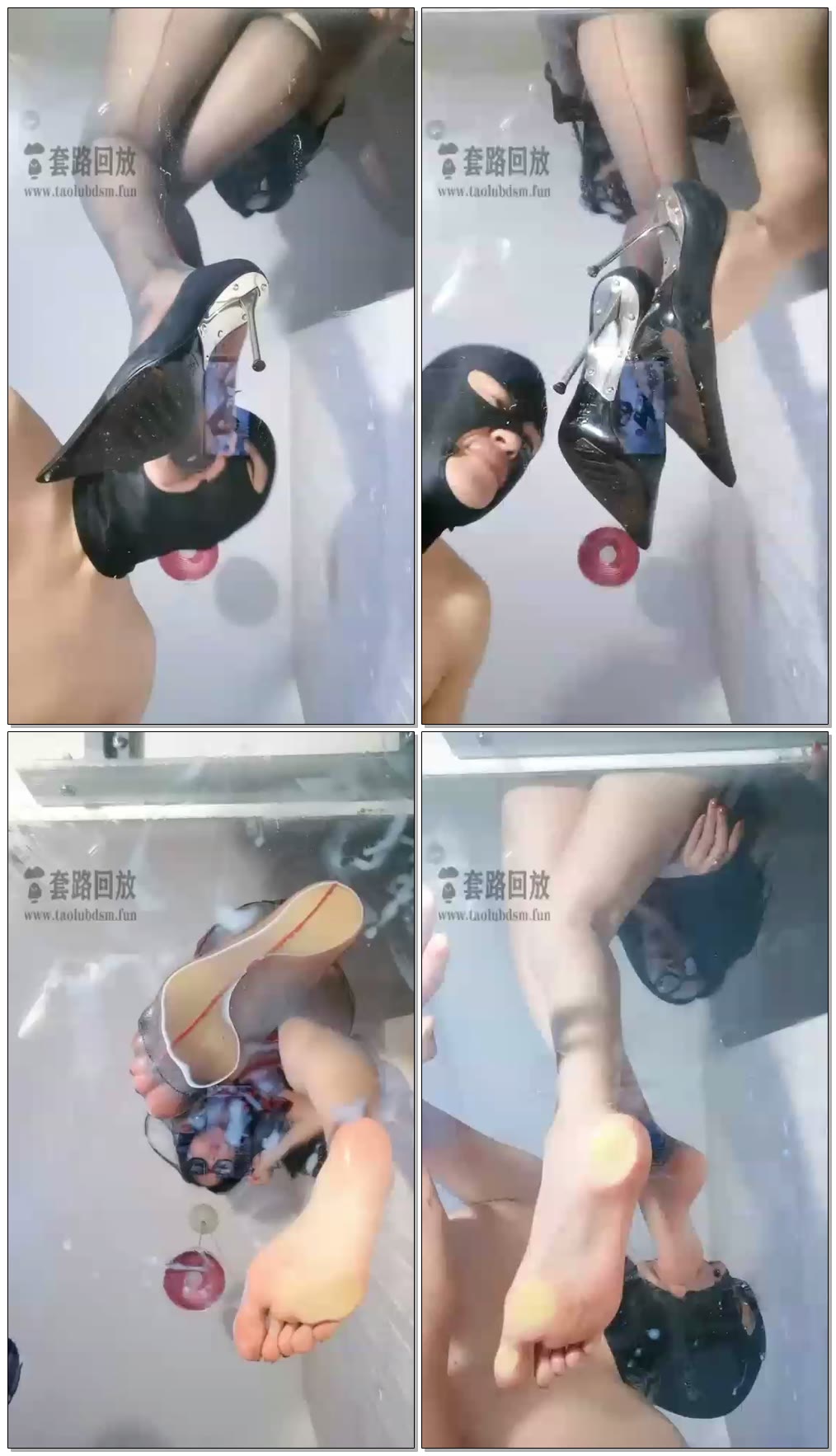 【叶子天津】叶子女王家畜日常吃狗食
