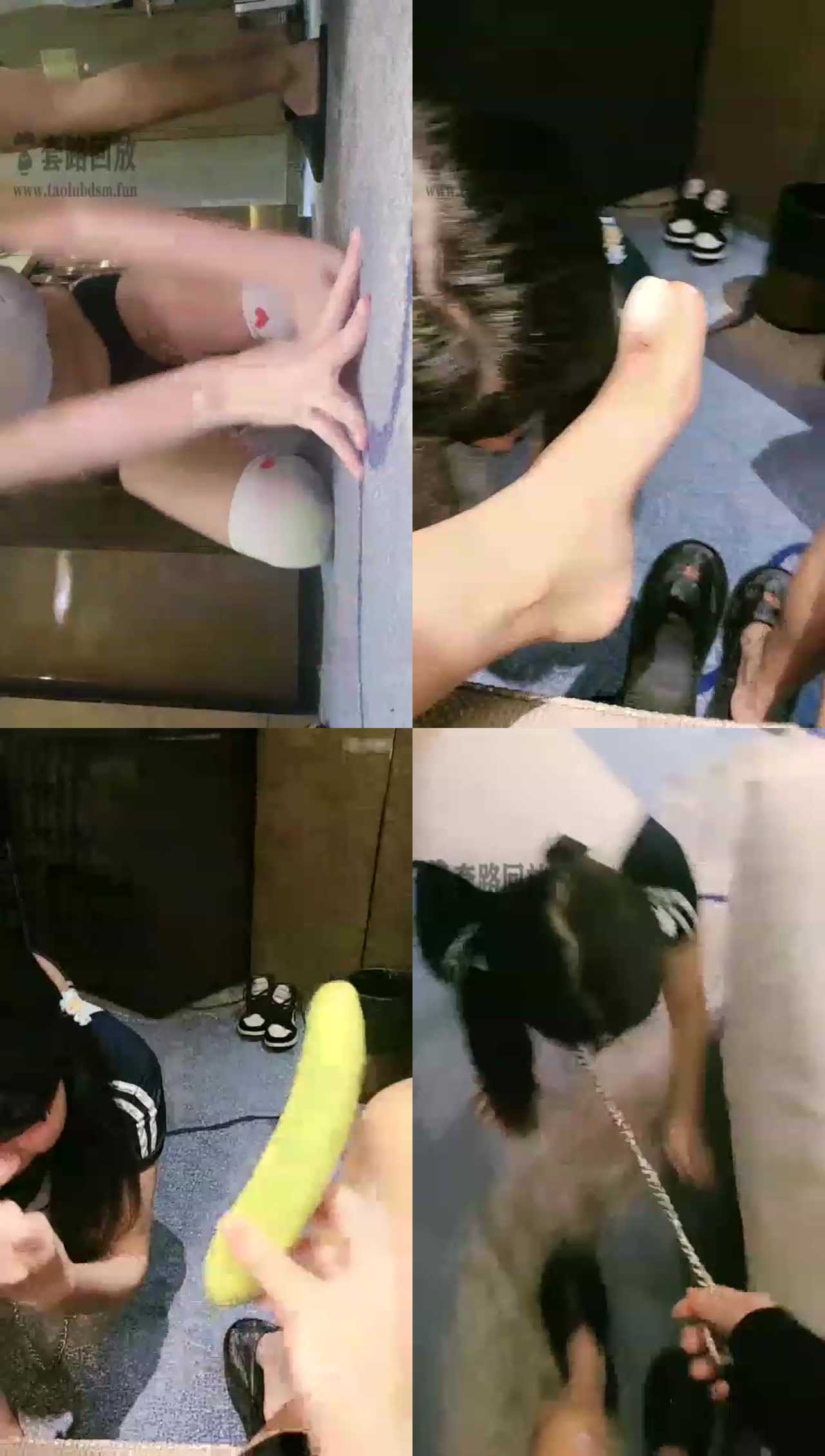 【Vinnie维妮】调教绿妻虐母物，跪拜钻跨遛狗口爆舔足喂食（上）