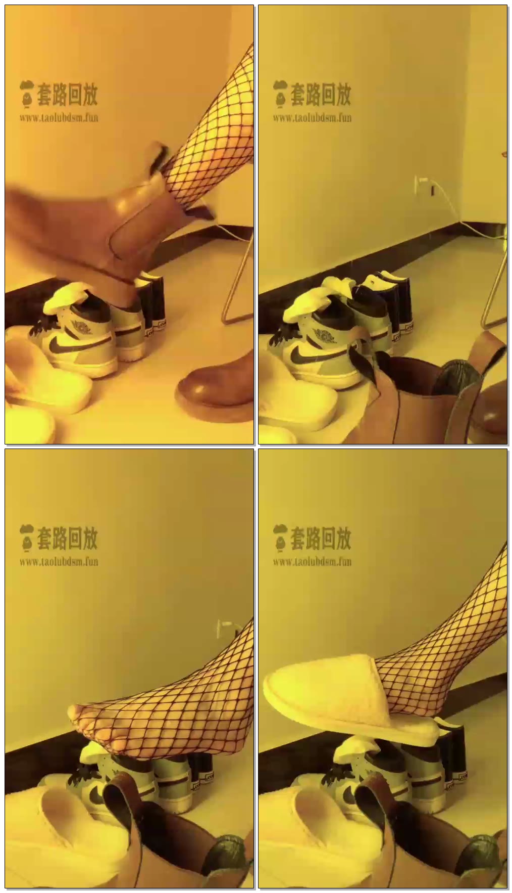 【琪琪大s】挚爱狗专场
