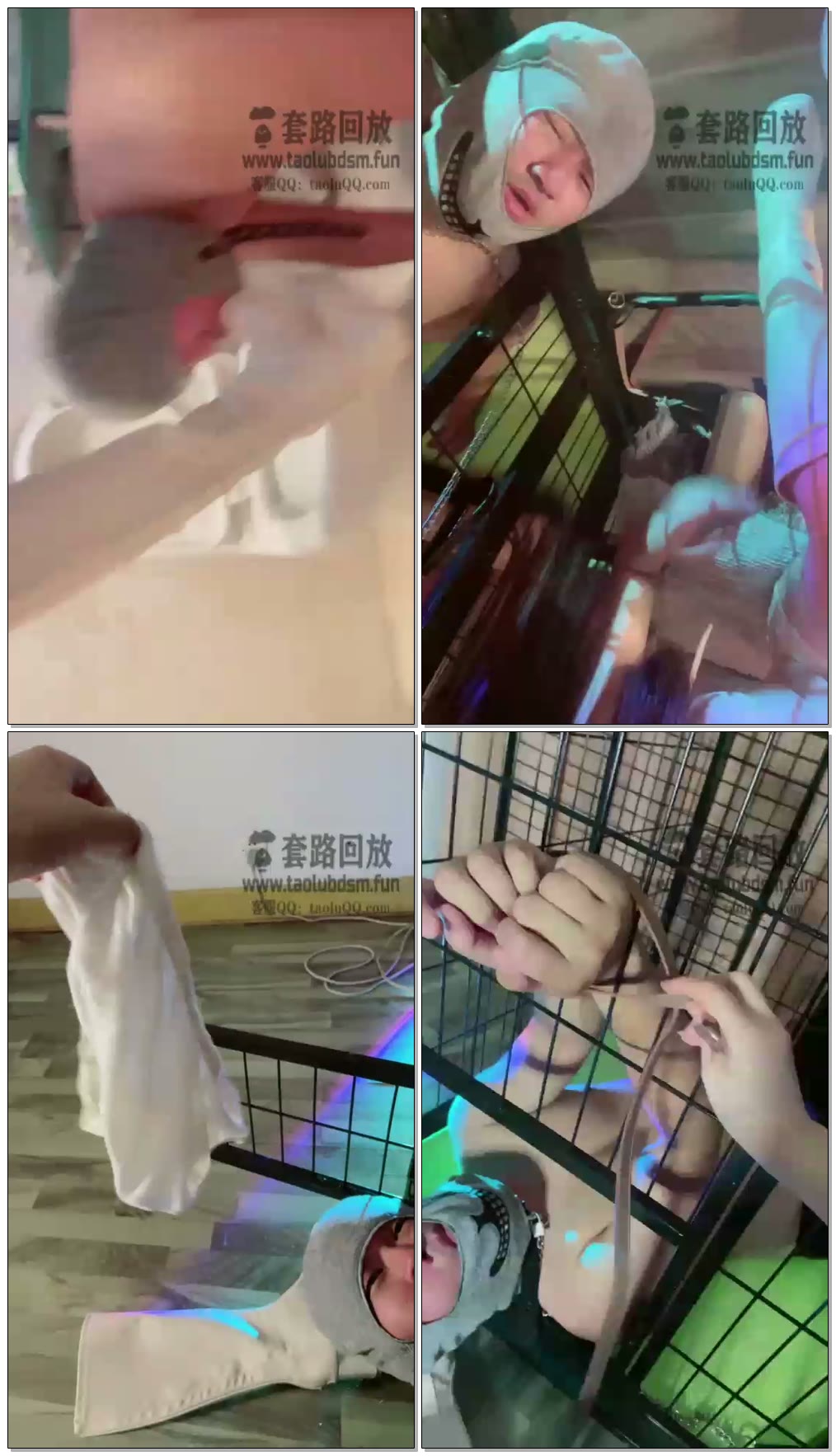 【月影儿】口水专场K9家奴的日常