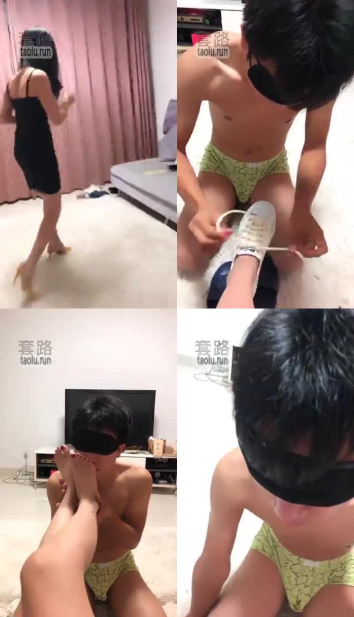 【汐月】派任务给萌新笨狗狗