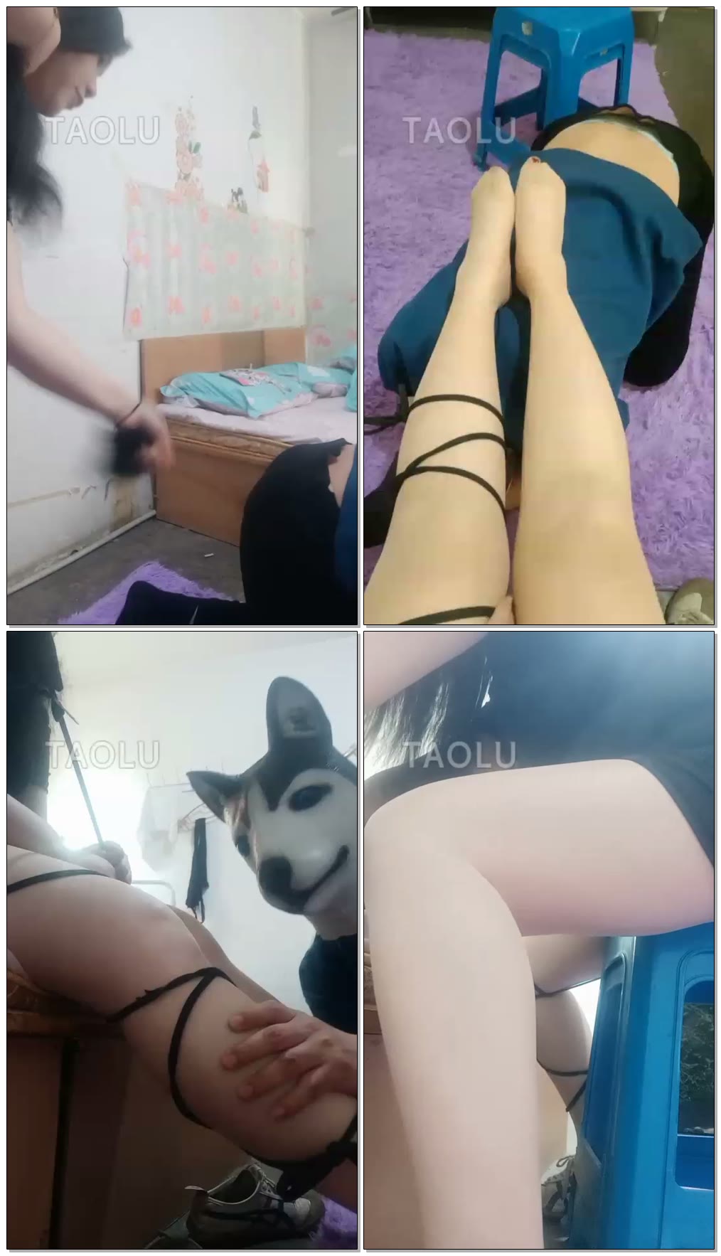【大连娜神s】好下贱的哈士奇