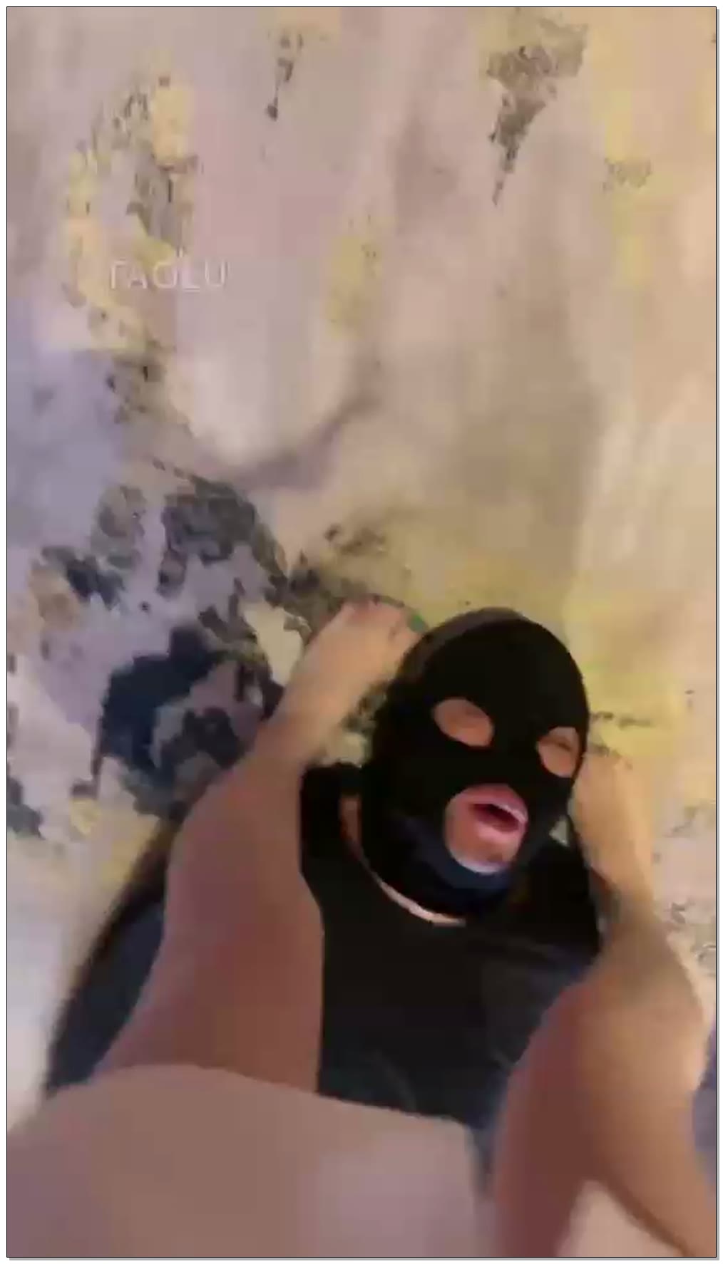 【安主】吃卫生金的丝袜奴