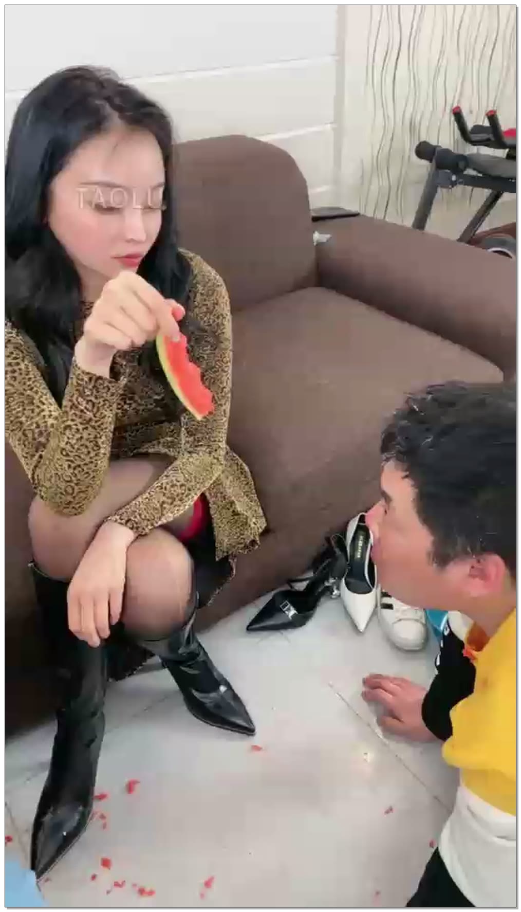 【二宝ss】花绮二部变黑色食物狗眼中的爱情任劳任怨