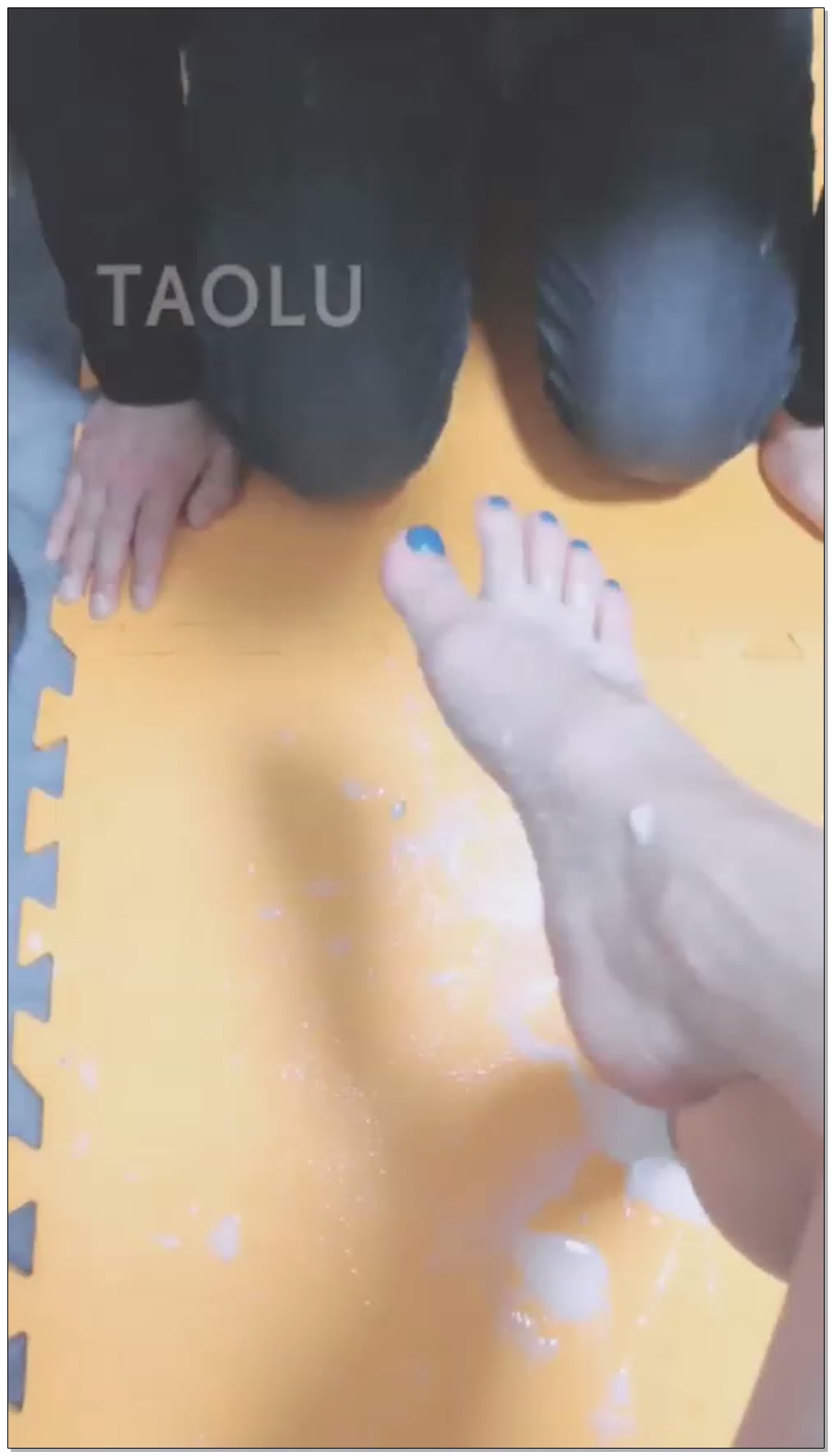 【灵竹S】牛奶投食，喝个够
