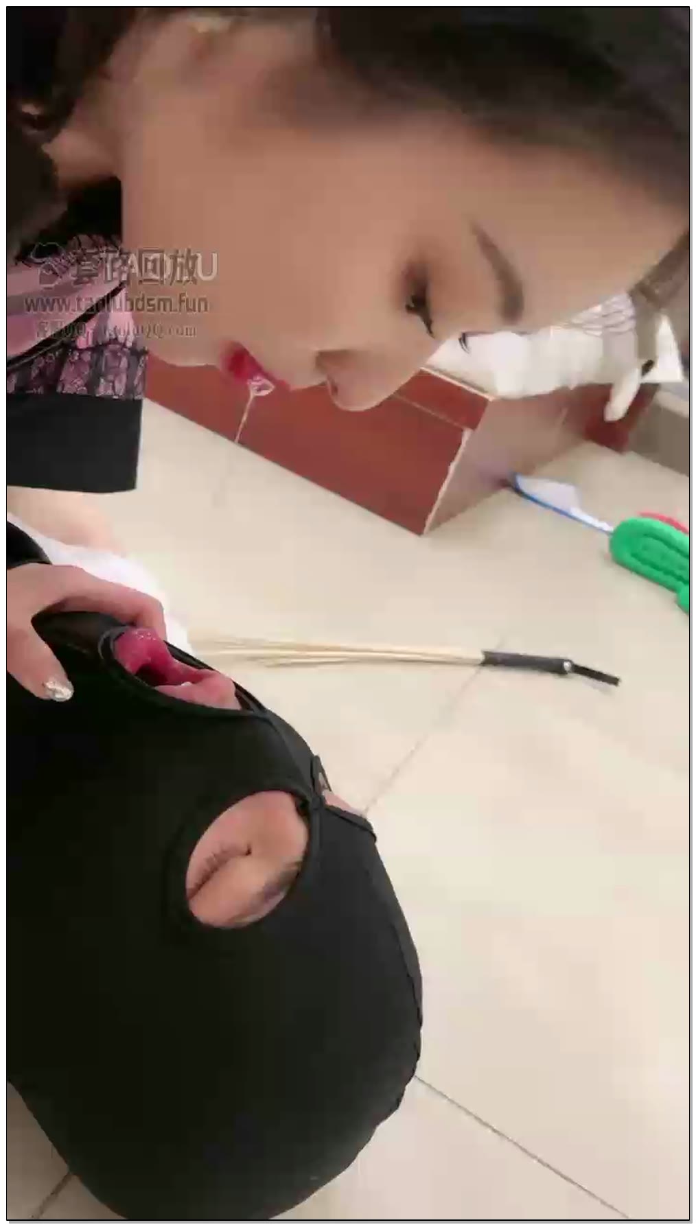 【鑫儿教头】小动物不听话多半是欠揍了