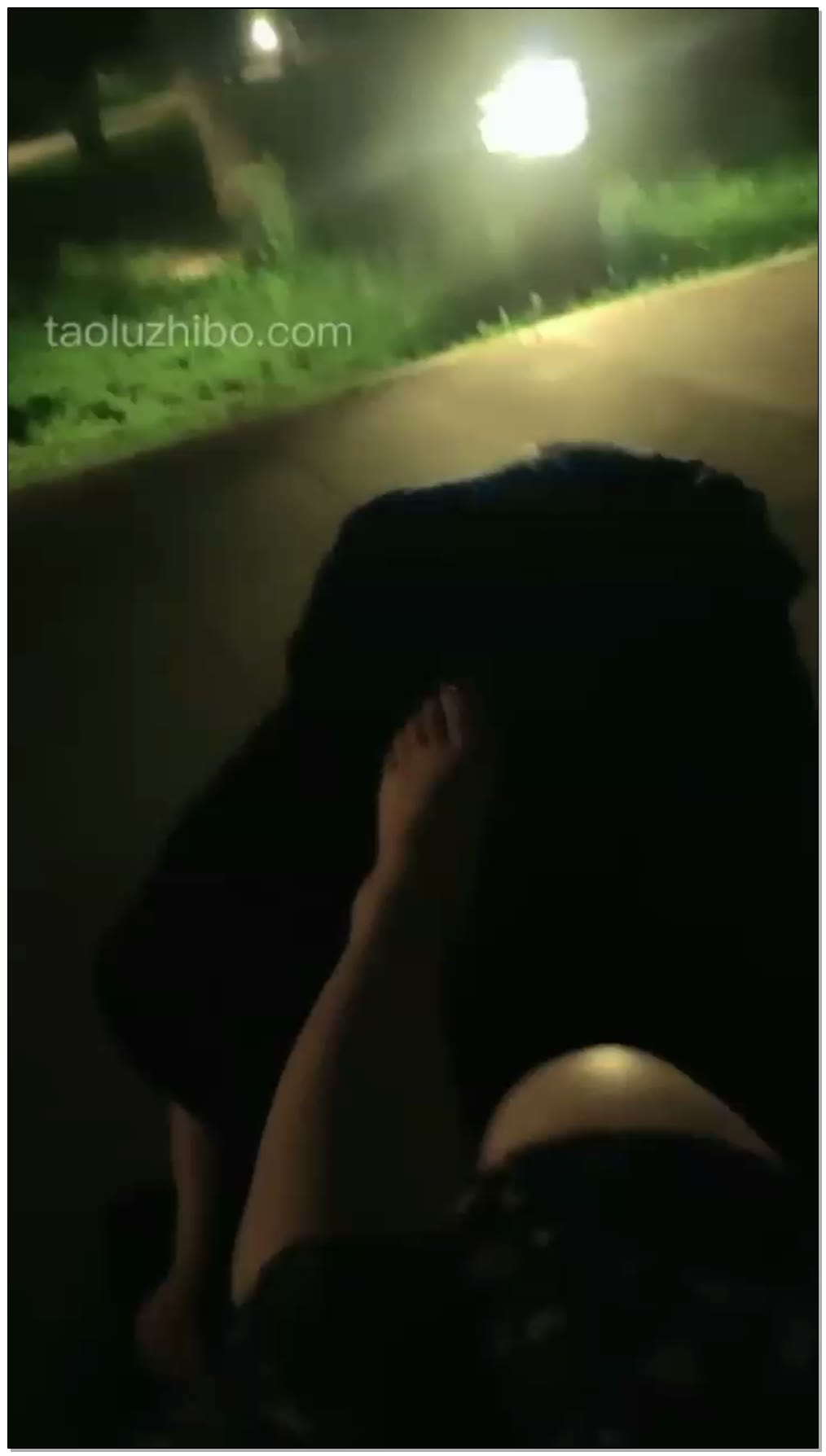 【流年S】喝酒，啤酒。聊天，户外，公园，老狗