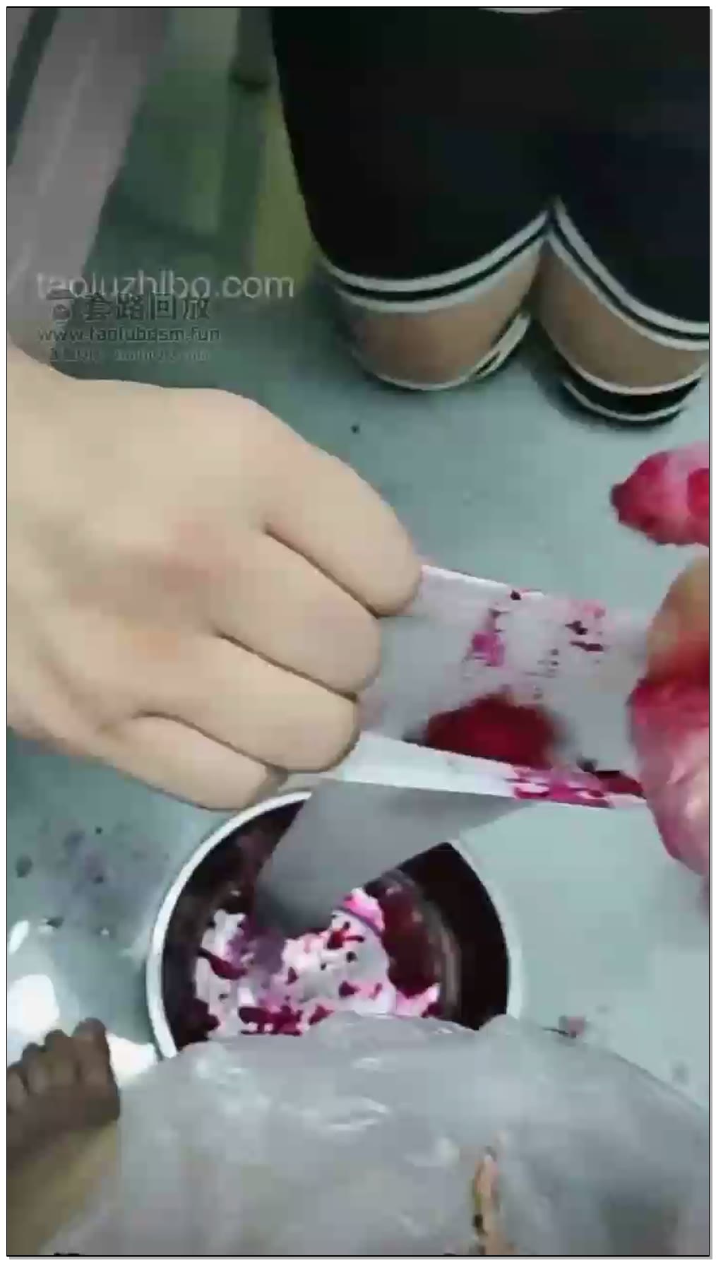 【你的苏可儿S】用小腿袜给火龙果榨汁，跟圣水混合搅拌给狗狗喝