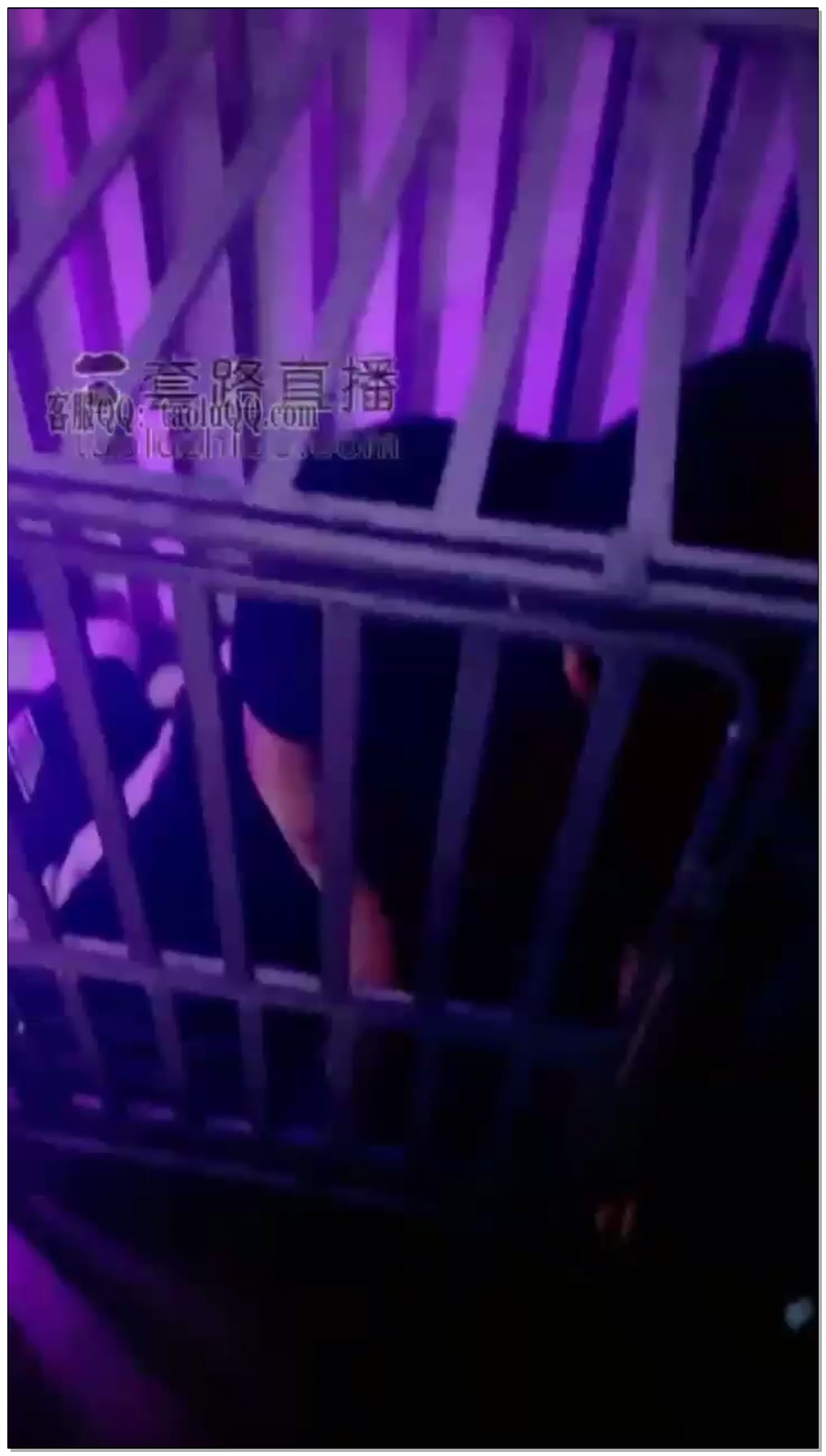 【乌仁图娅】狗子直播唱歌