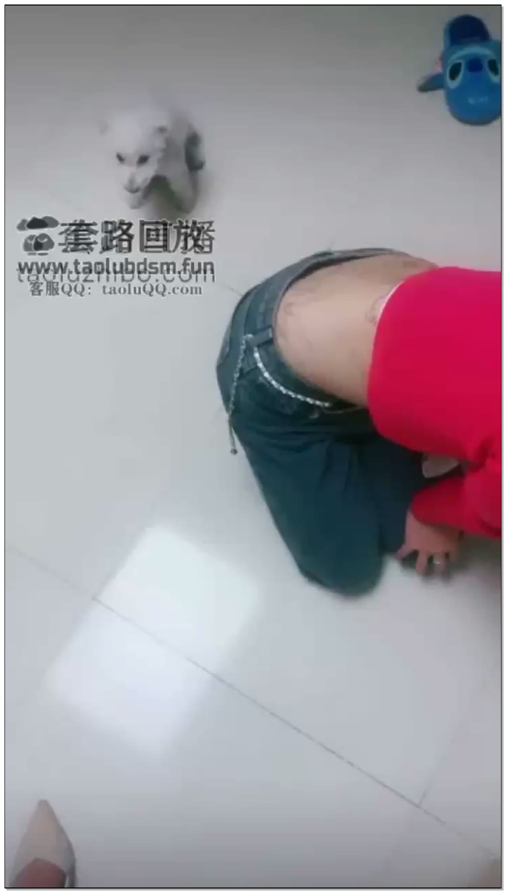 【天津同好酒吧女慕】无聊找个姐妹来陪我玩