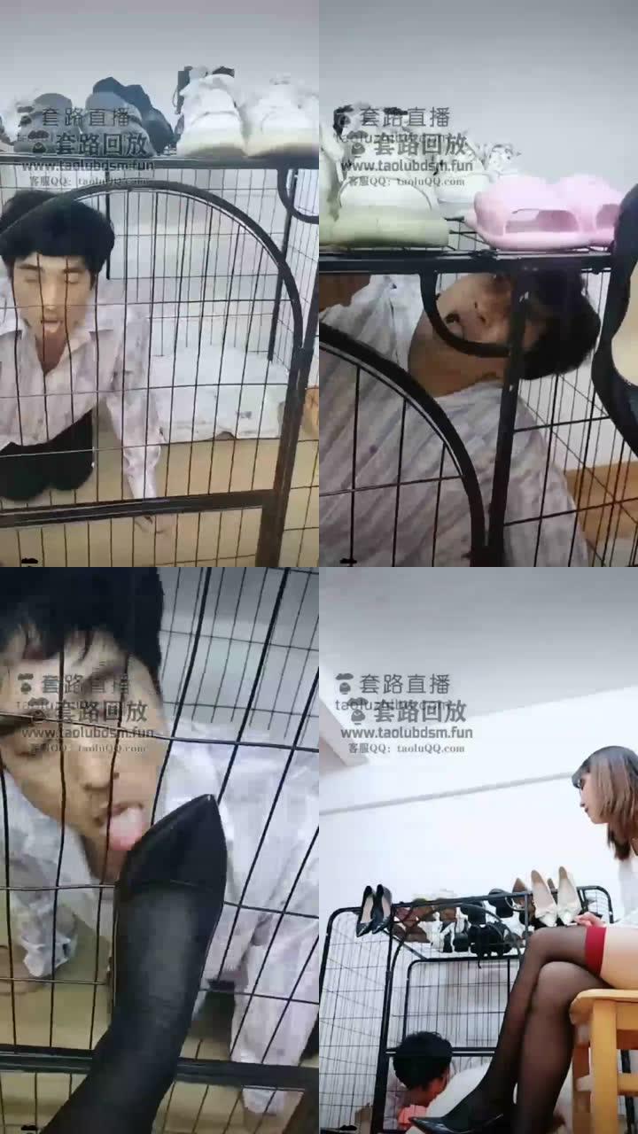 【刘二狗】狗笼里面吃黄金拌饭