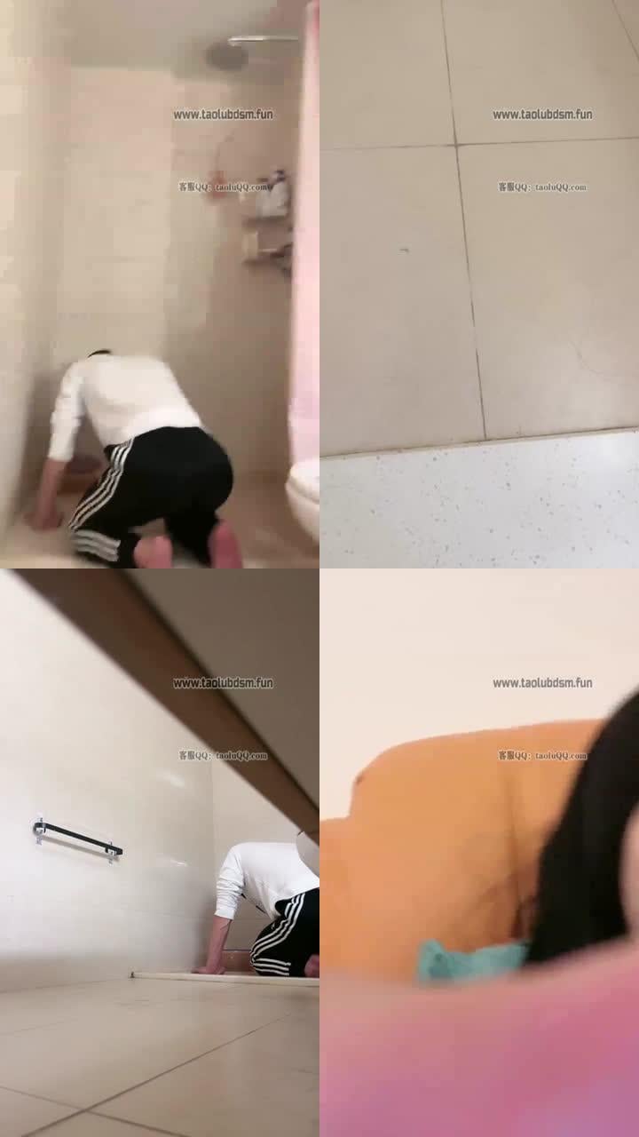 【奈奈】开发马桶