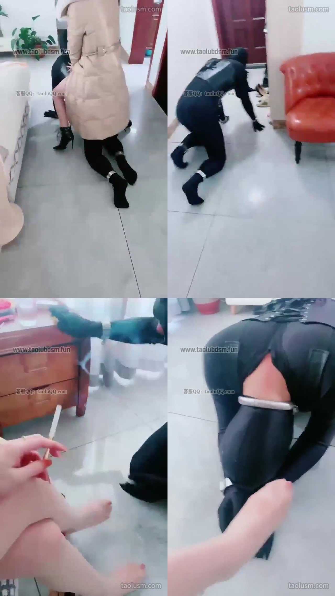 【高傲】调教家奴