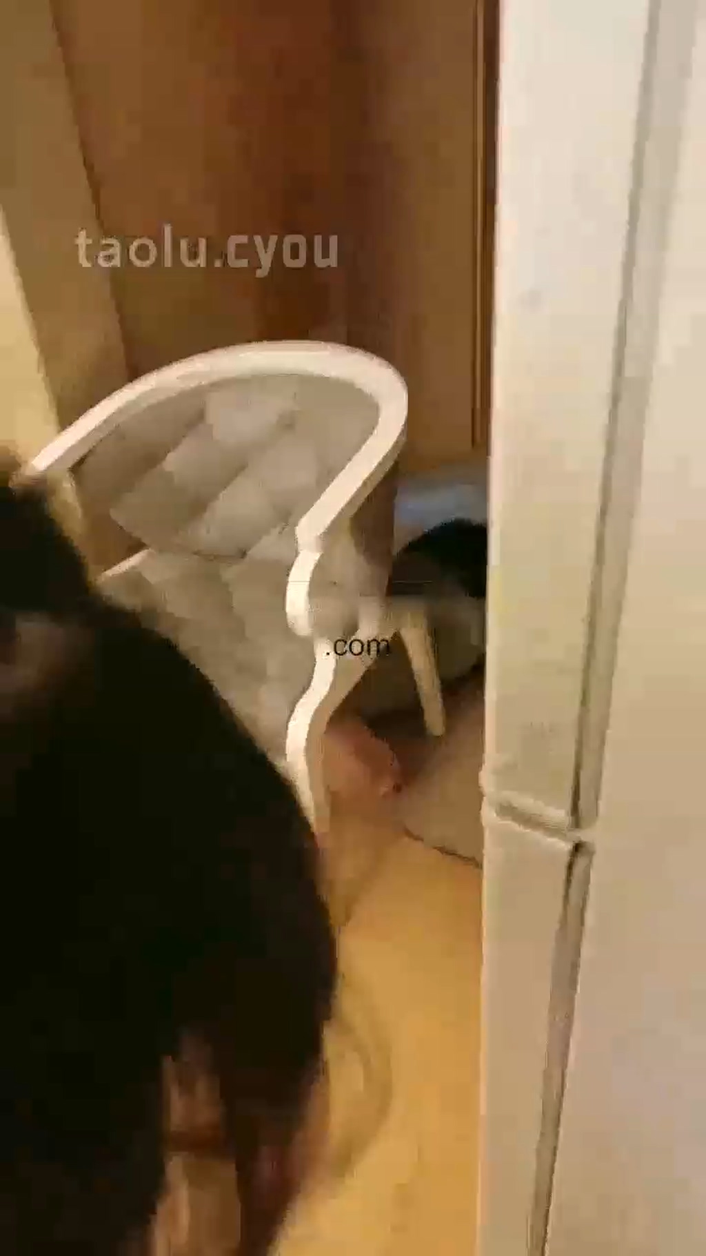 【金桔】被五位女大学生群殴