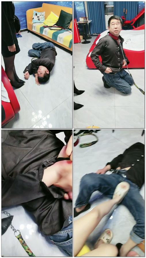 【到处当直播释放式】老狗犯错受主人延罚