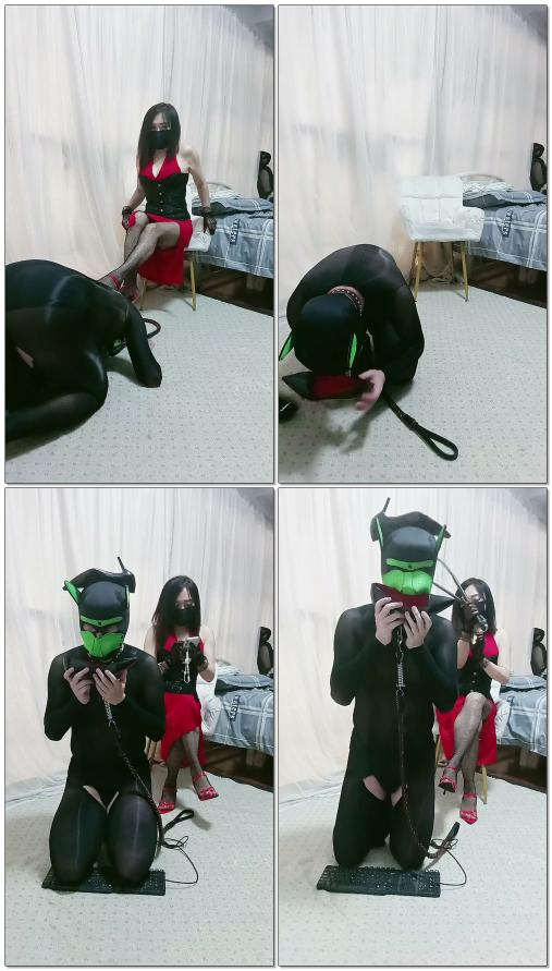 【南京冰炫女司】无脑羞辱苟奴