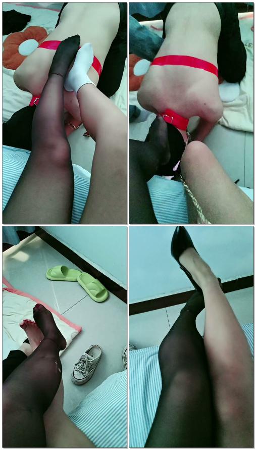 【琦琦Ss】开始上课了