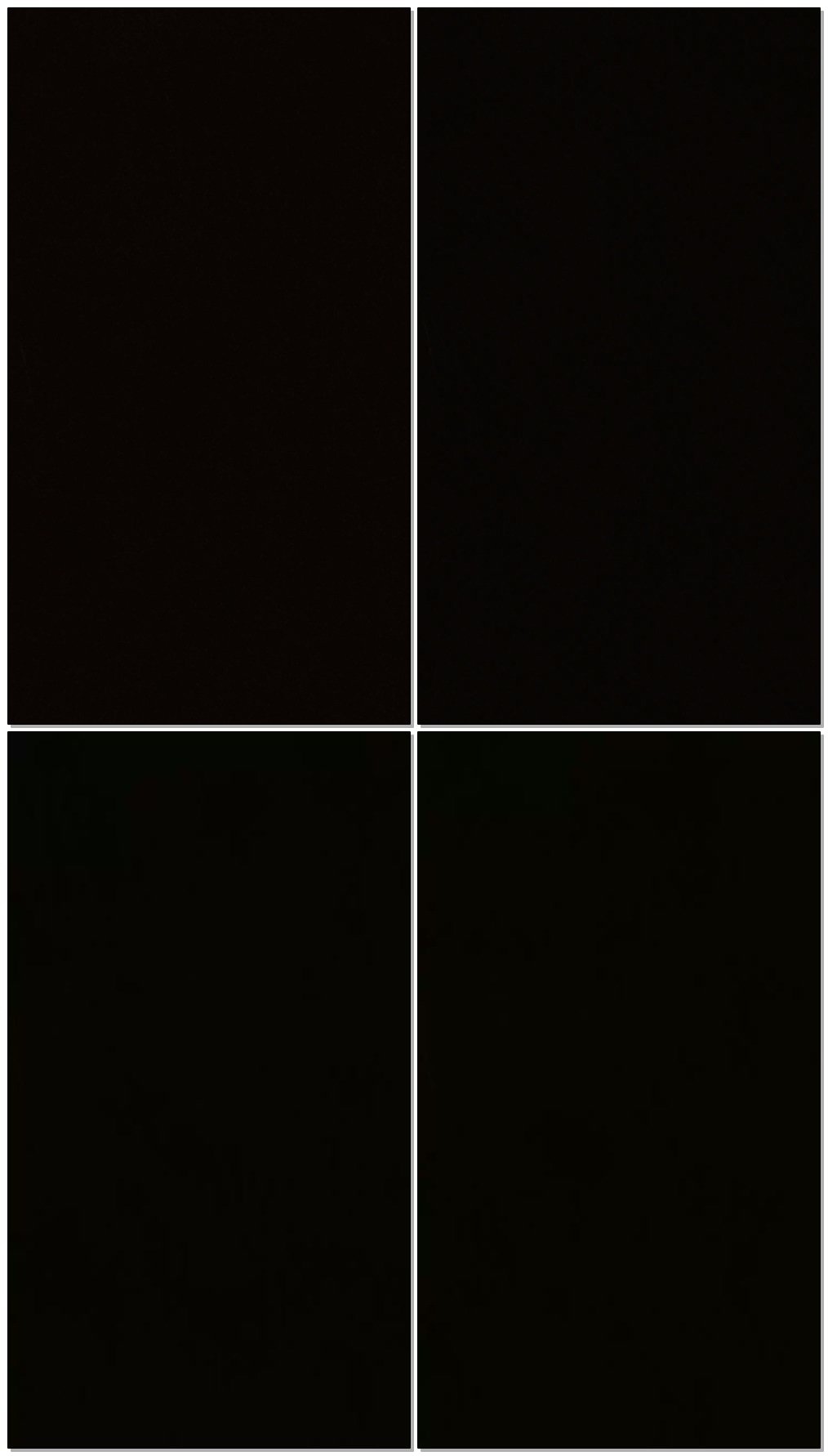 【佳佳s】圈养第一天的洗脑