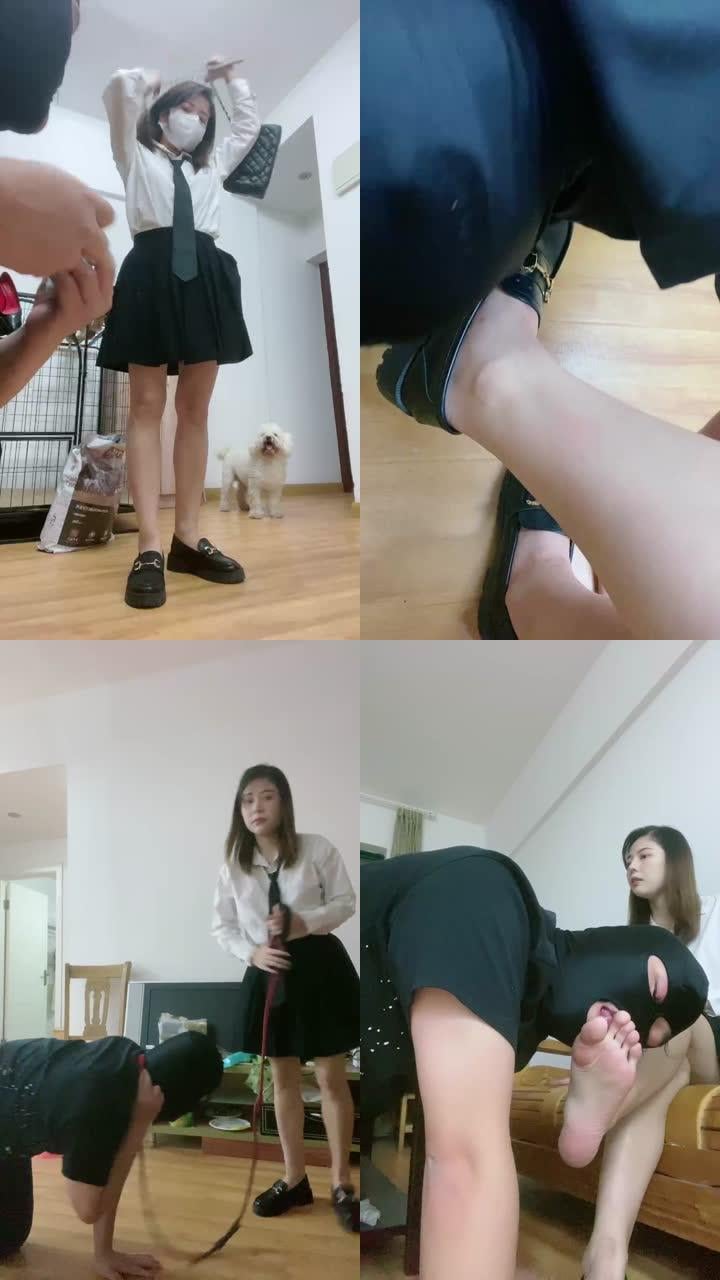 【猫咪大大】大学生S让狗舔脏鞋