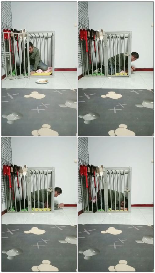 【临汾丽娜夫妻情侣主】贱货只配在笼子里