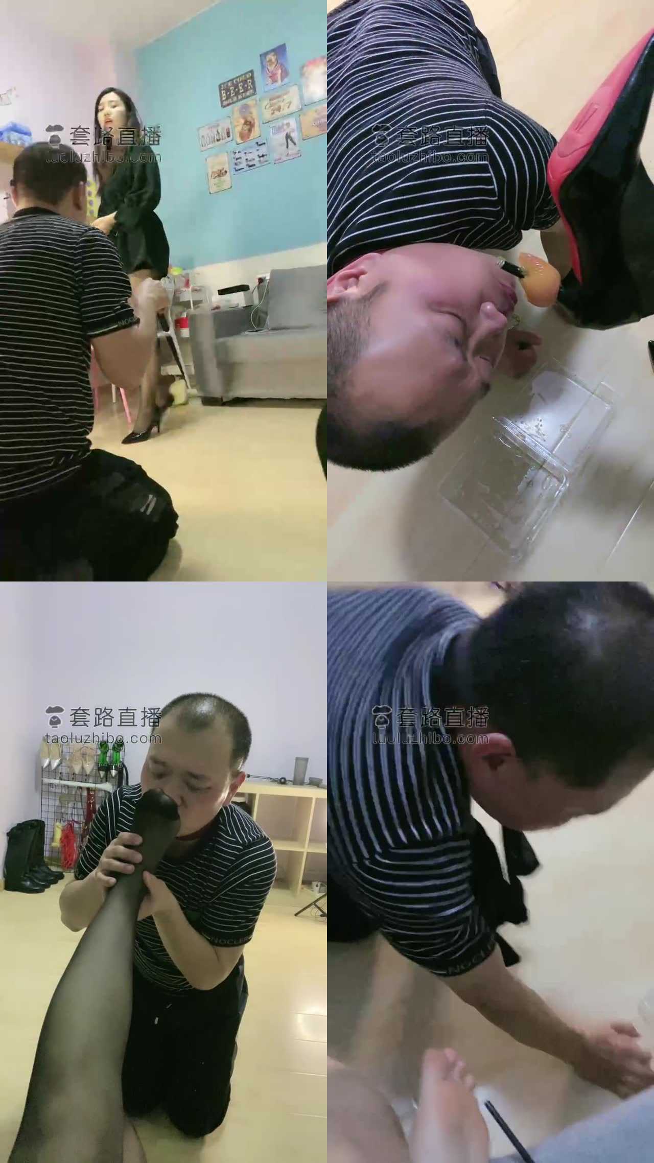【北京嘉文】看主人花式训练狗奴