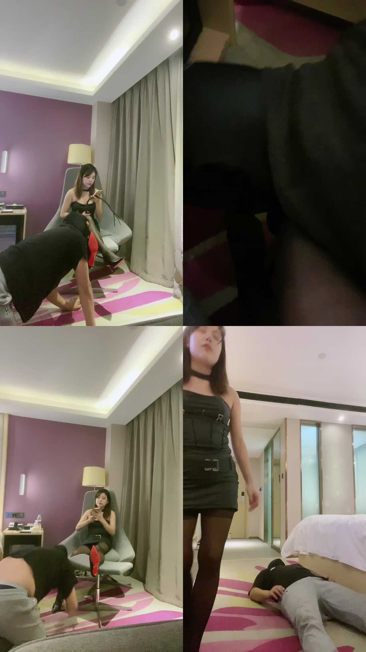 【猫咪大人】深夜过来犯贱的小胖狗