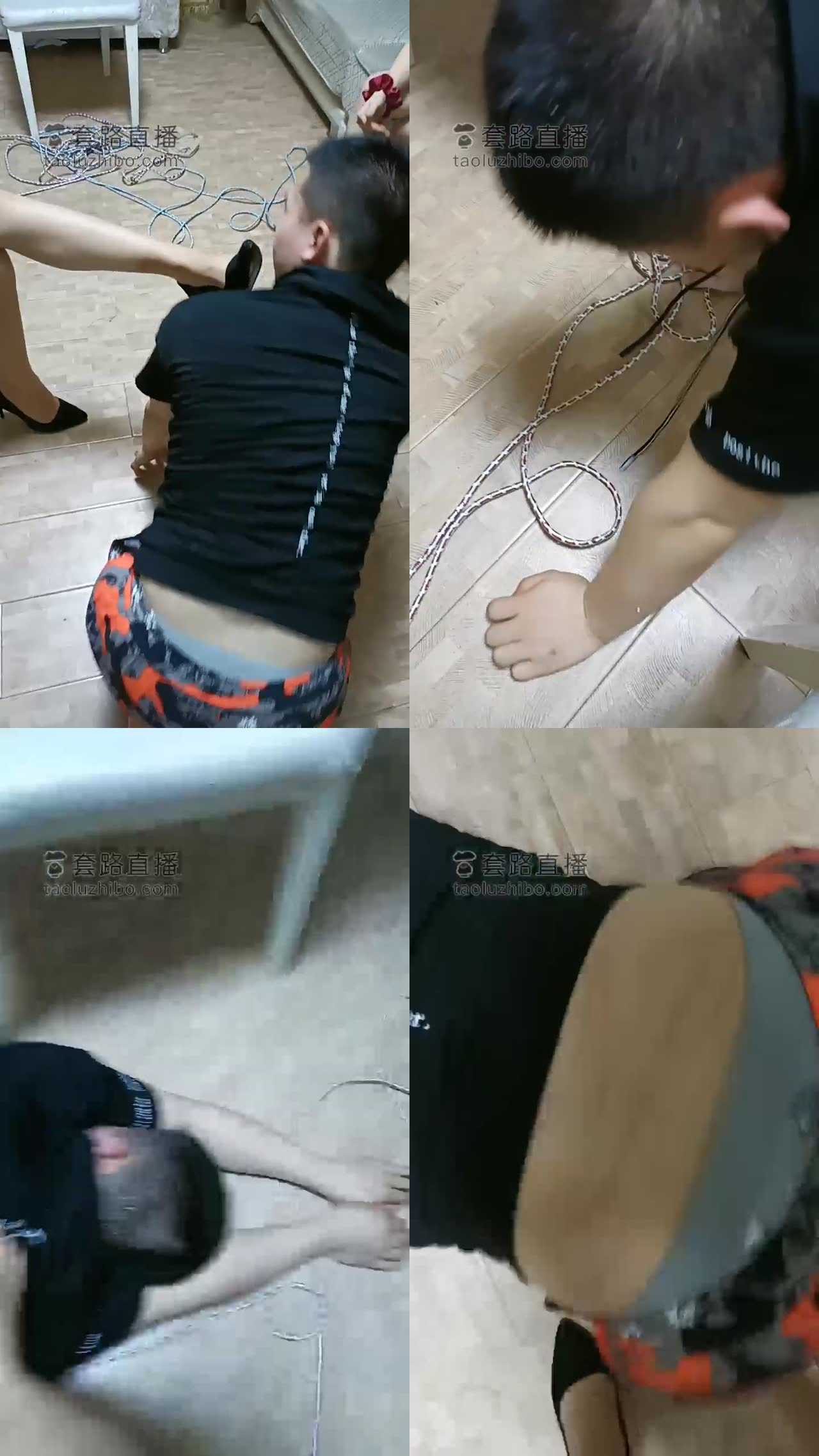 【奶酪】多女王群调家奴
