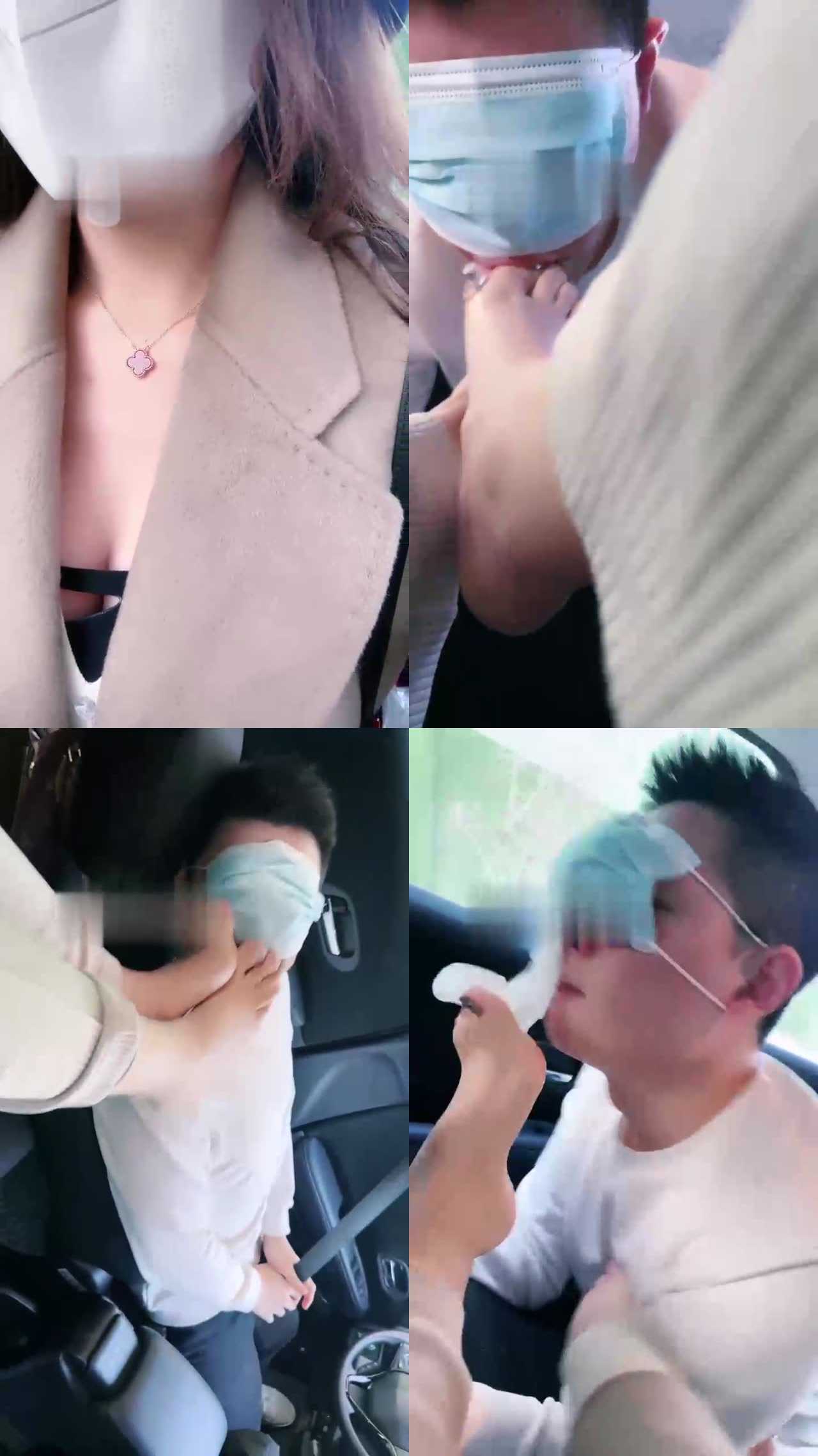 【禾末】车内诱导司机做狗