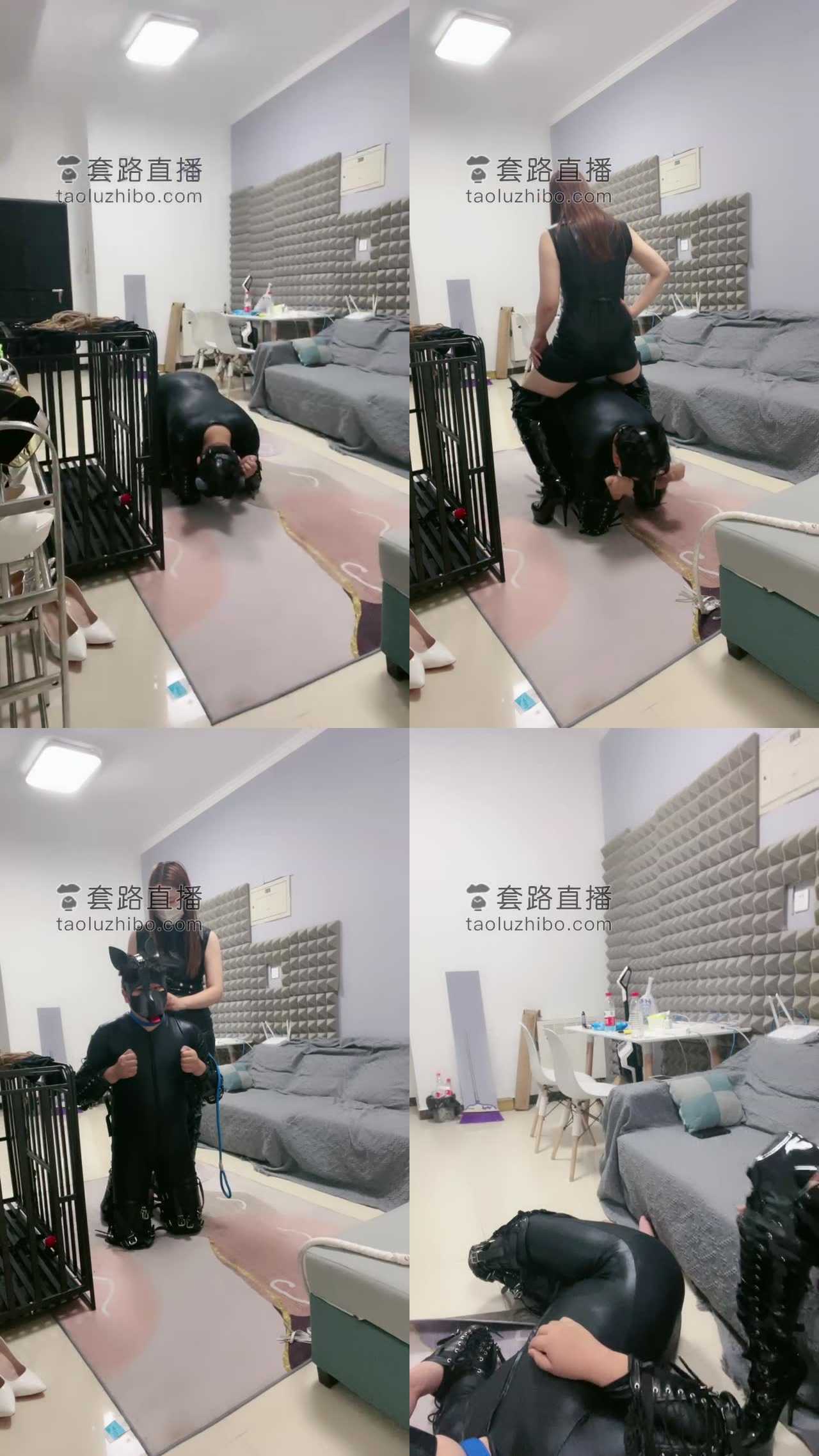 【月亮S】人形犬训练