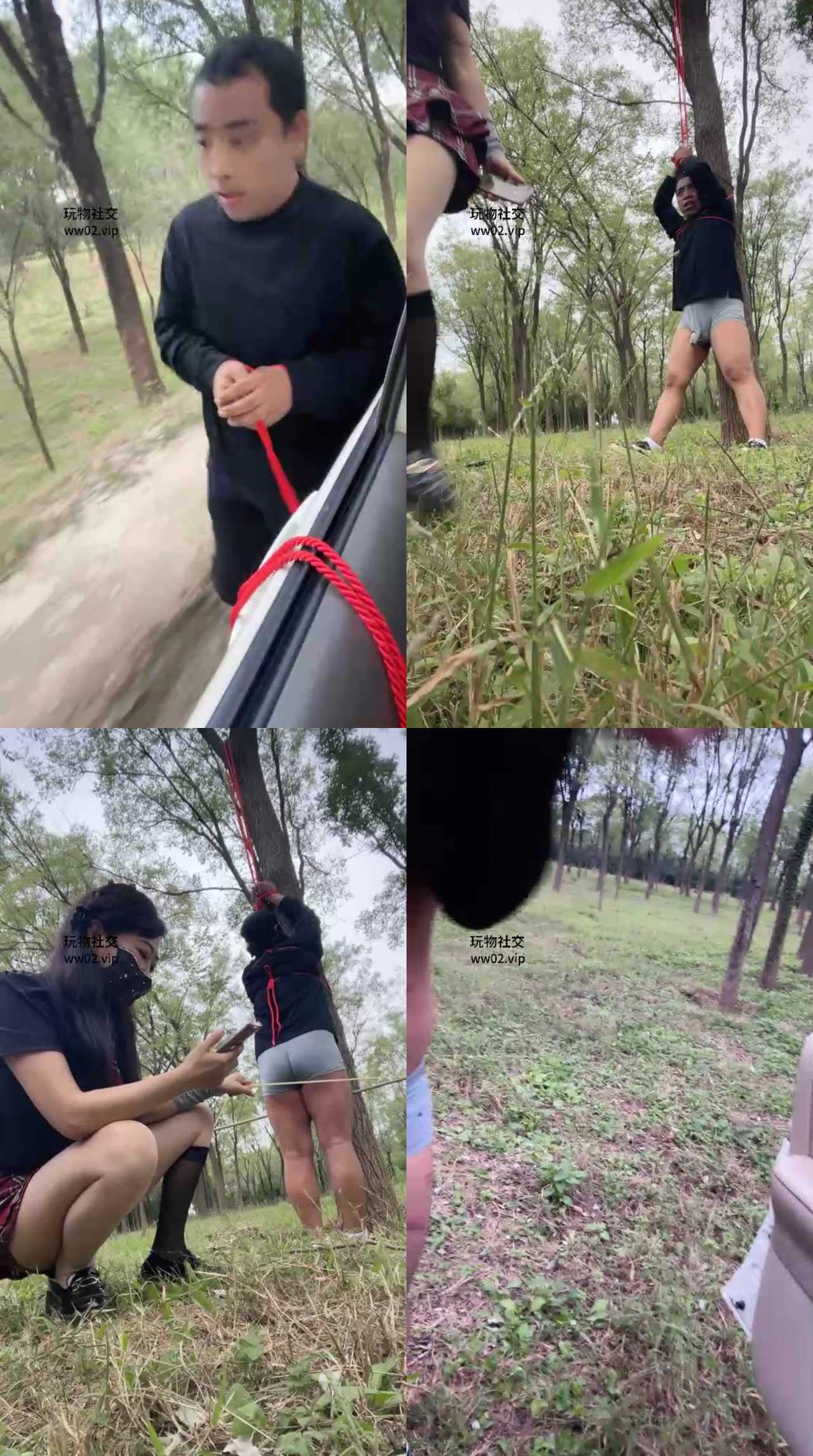 【喵主】户外用车遛狗/捆绑树上虐