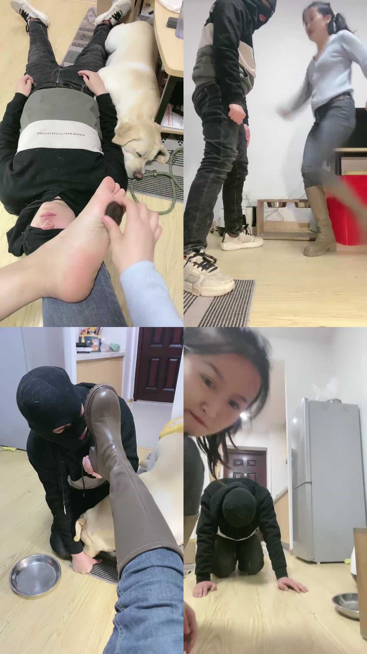【小布丁S】人不如狗系列（二）