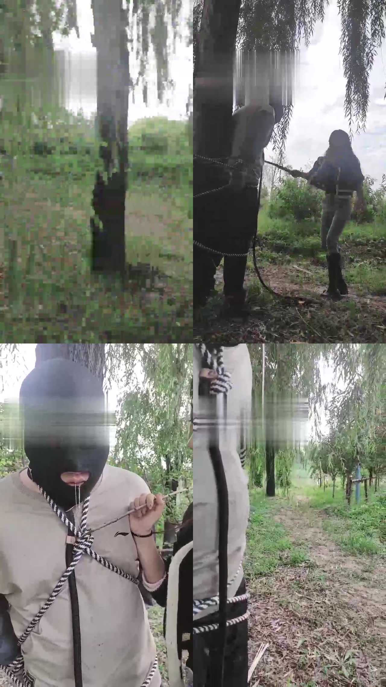 【霁月S&辰辰S】户外捆绑鞭打贱狗（续集）（双视角）