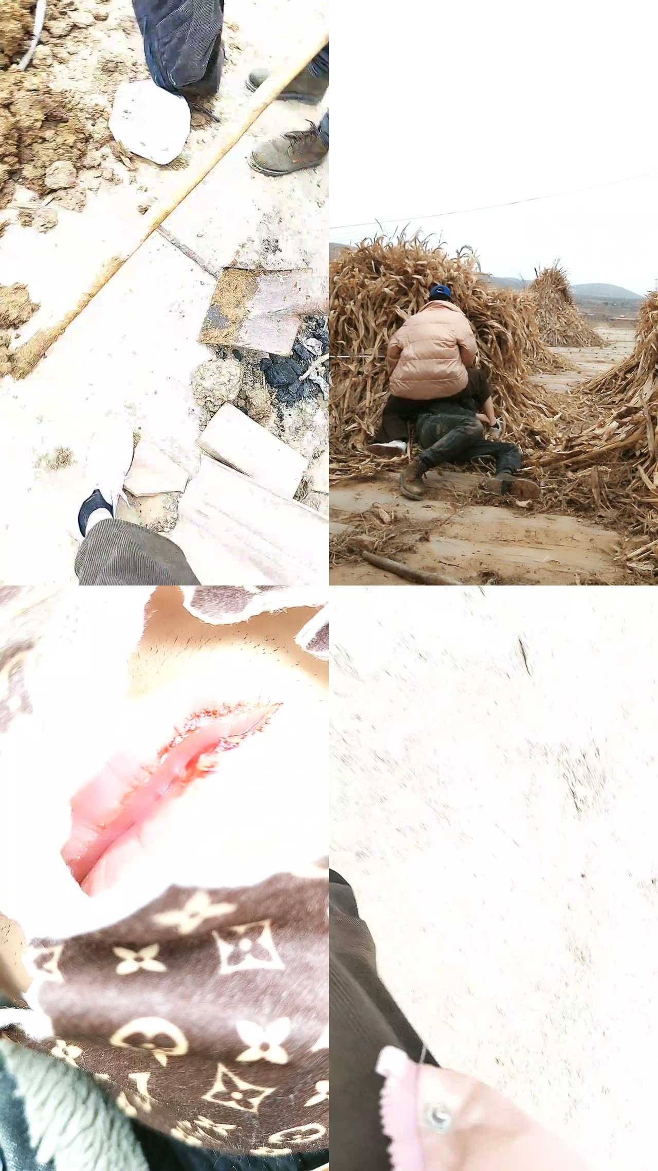 【银南女帝】畜生狗干活调教