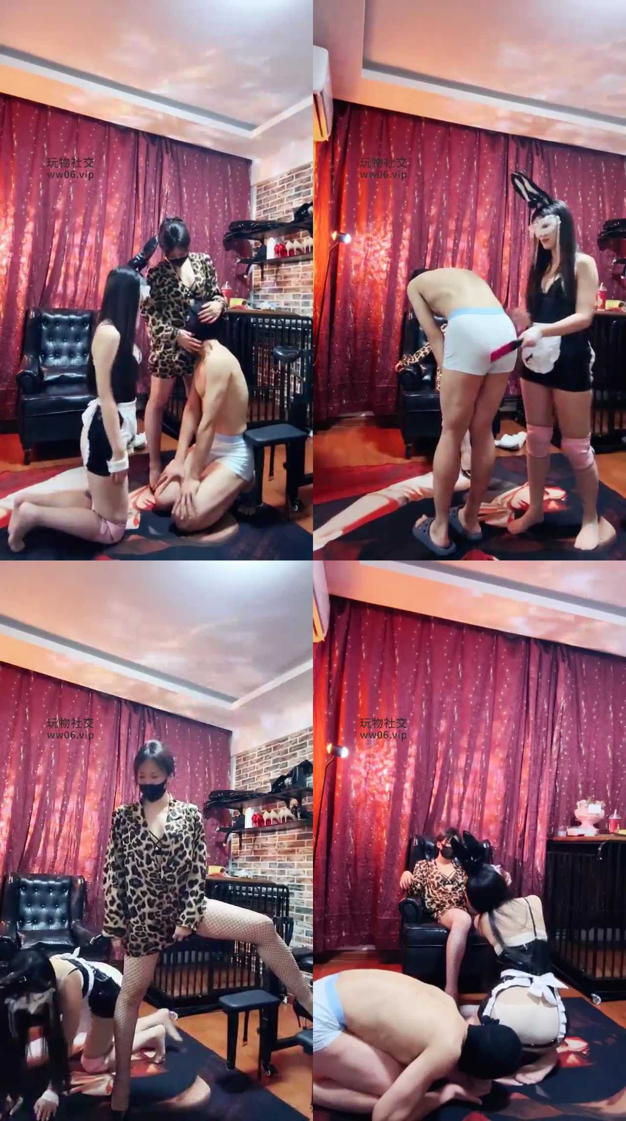 【冷颜女王】女主人已经一对公母狗