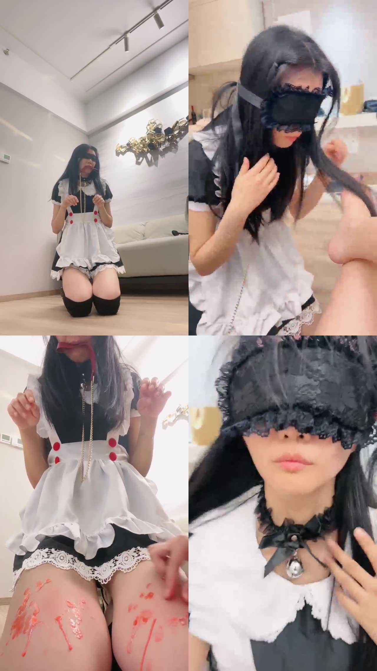 【米开朗】女幕犬化训练