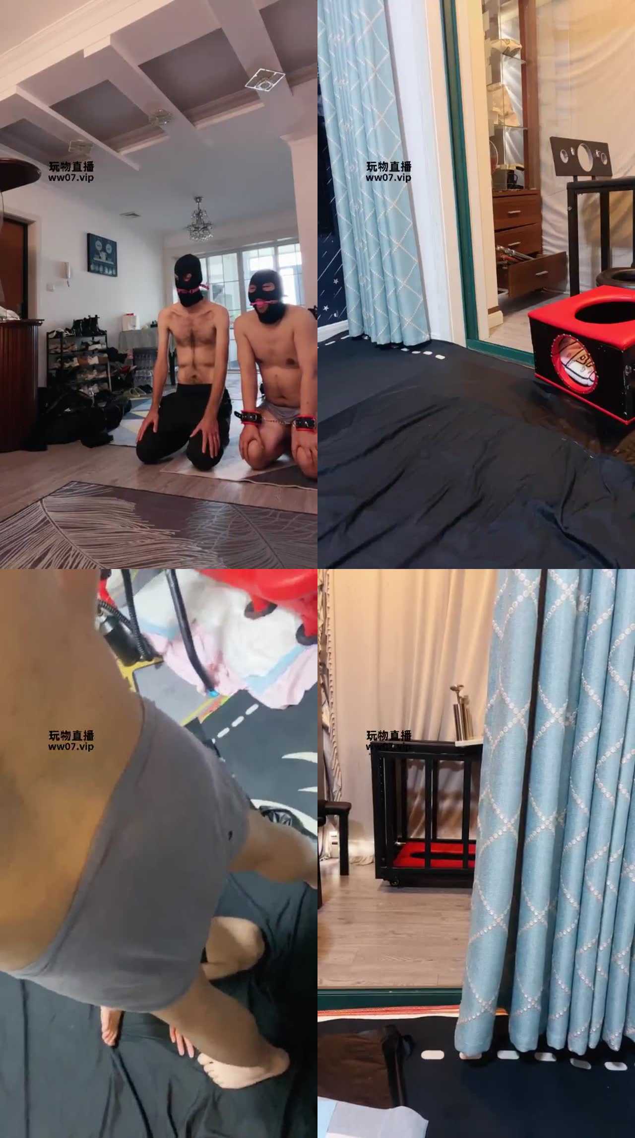 【胖虎】白狐主人